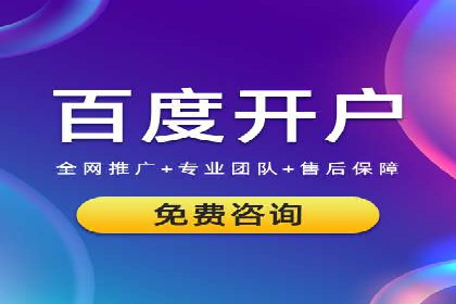 SEM运营推广策略案例分析